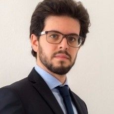 Luca M. MARTULLI